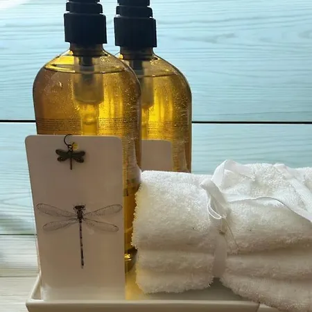 Appartement La Libellula, Centro Di Torinol *