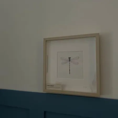 La Libellula, Centro Di Torinol Lägenhet